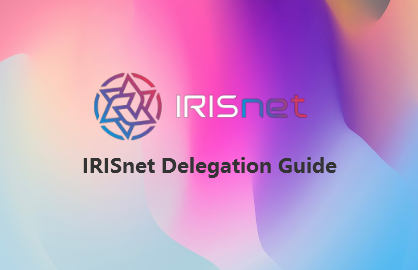 IRISnet Delegation Guide