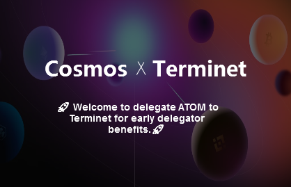 Terminet joins the Cosmos hub network as a validator